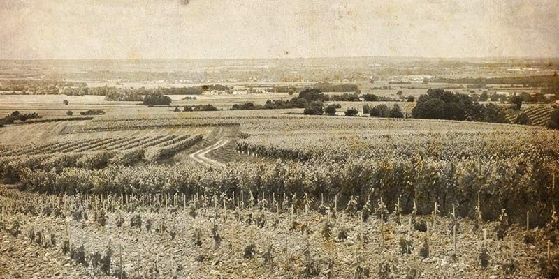 Jules-Gautret-cognac-notre-histoire-1895-decouvertes Jules-Gautret-cognac-notre-histoire-1895-decouvertes
